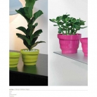 catalogo_mitu_2018_1-p031