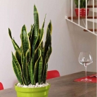 catalogo_mitu_2018_1-p032