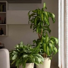 catalogo_mitu_2018_1-p034