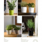 catalogo_mitu_2018_1-p035