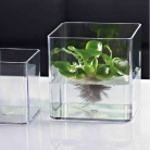 catalogo_mitu_2018_1-p040