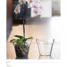 catalogo_mitu_2018_1-p043