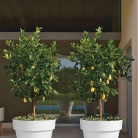 catalogo_mitu_2018_1-p056