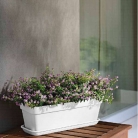 catalogo_mitu_2018_1-p062