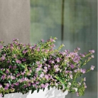 catalogo_mitu_2018_1-p064