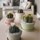 catalogo_mitu_2018_1-p072