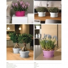 catalogo_mitu_2018_1-p073