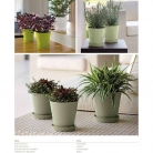 catalogo_mitu_2018_1-p075