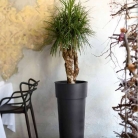 catalogo_mitu_2018_1-p082