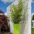 catalogo_mitu_2018_1-p085