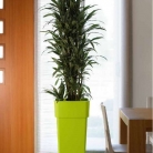 catalogo_mitu_2018_1-p089