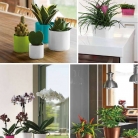 catalogo_mitu_2018_1-p125