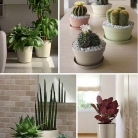 catalogo_mitu_2018_1-p127