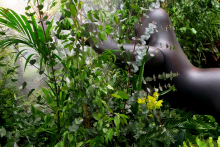 izlozhenia-sabitia-JUNGLE-7