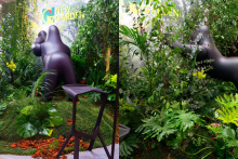 izlozhenia-sabitia-JUNGLE-8