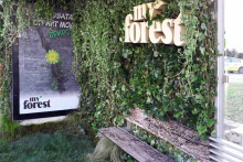 izlozhenia-sabitia-MY-FOREST-2