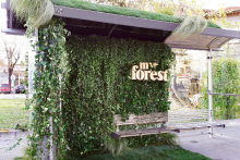 izlozhenia-sabitia-MY-FOREST-4