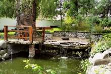 BASSAM-2