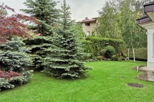 BISTRICA-G-1