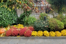 NG-AUTUMN_21-3