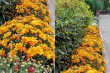 NG-AUTUMN_21-4