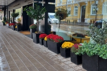 NG-AUTUMN_21-5