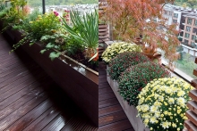 NG-AUTUMN_21-7