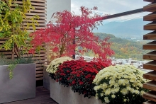 NG-AUTUMN_21-8