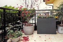 NG-EXTERIORNO-web-14