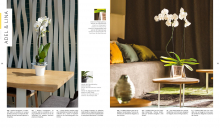 catalogo-2017-sd-page-030