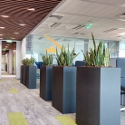 interiorno-ozeleniavane-1