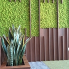 interiorno-ozeleniavane-2