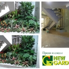 интериорно озеленяване офис сграда