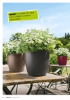 kashpi-katalog-lechuzare-trend-en-002-002