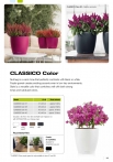 kashpi-katalog-lechuzare-trend-en-019-019
