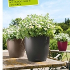 kashpi-katalog-lechuzare-trend-en-002-002