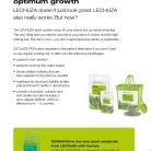 kashpi-katalog-lechuzare-trend-en-005-005