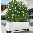 kashpi-katalog-lechuzare-trend-en-006-006