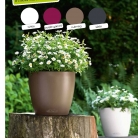 kashpi-katalog-lechuzare-trend-en-018-018