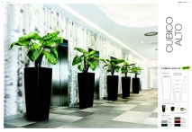 kasphi-saksii-katalog-lechuza-3-003-003