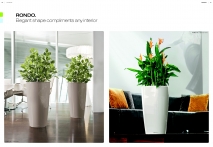 kasphi-saksii-katalog-lechuza-3-009-009