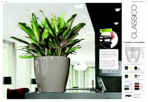 kasphi-saksii-katalog-lechuza-3-014-014