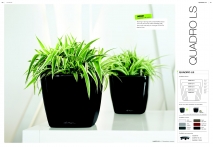 kasphi-saksii-katalog-lechuza-3-016-016