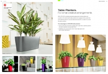 kasphi-saksii-katalog-lechuza-3-019-019