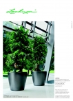 kasphi-saksii-katalog-lechuza-3-024-024
