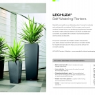 kasphi-saksii-katalog-lechuza-3-002-002