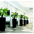 kasphi-saksii-katalog-lechuza-3-003-003