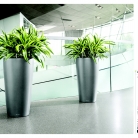 kasphi-saksii-katalog-lechuza-3-008-008