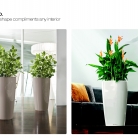 kasphi-saksii-katalog-lechuza-3-009-009