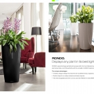 kasphi-saksii-katalog-lechuza-3-010-010